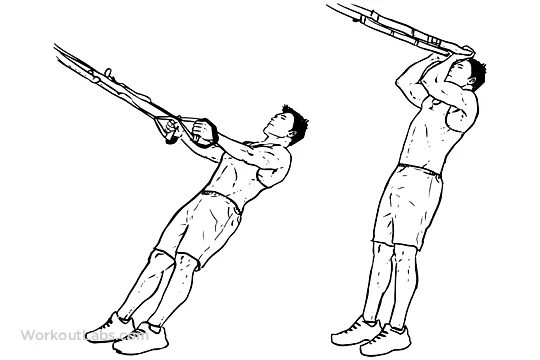 Biceps with TRX