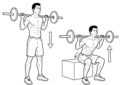 Box squat