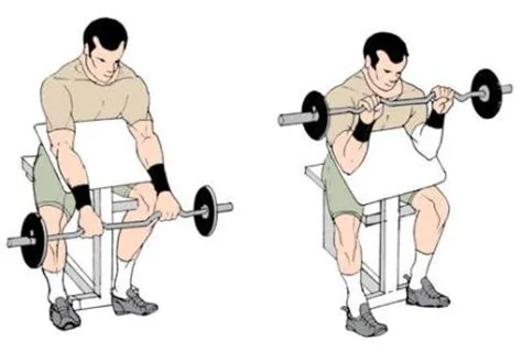 Reverse Grip Barbell Curls
