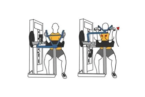 Cable Concentration Curl