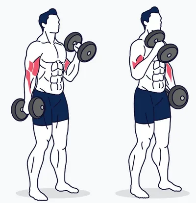 Alternating dumbbell hammer curl