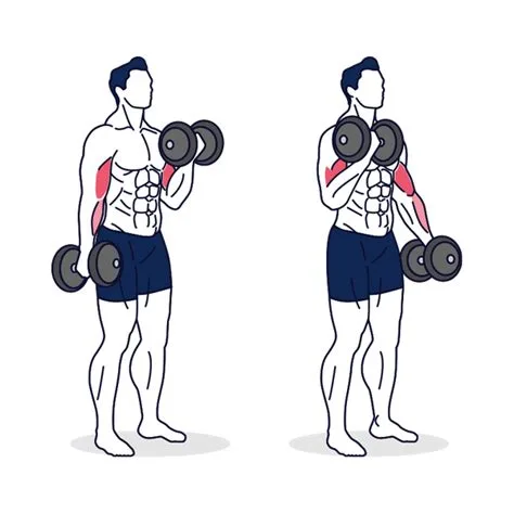 Alternating bicep curls