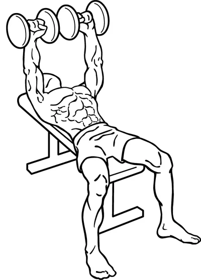 Benchpress Dumbbells
