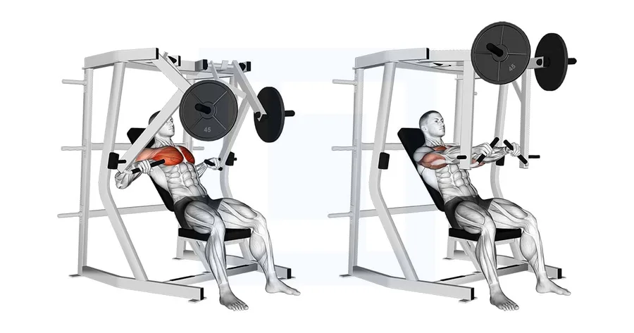 Hammerstrength Decline Chest Press