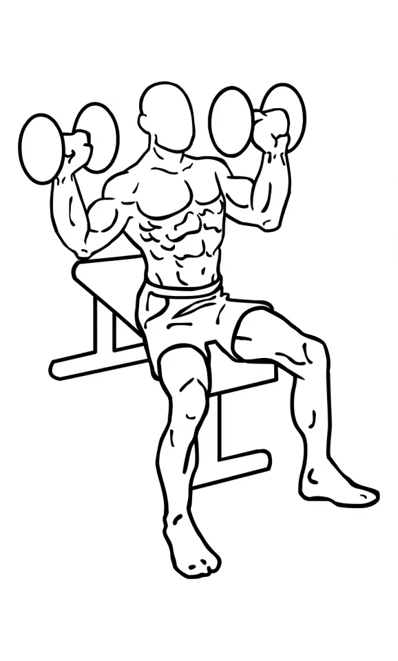 Shoulder Press, Dumbbells