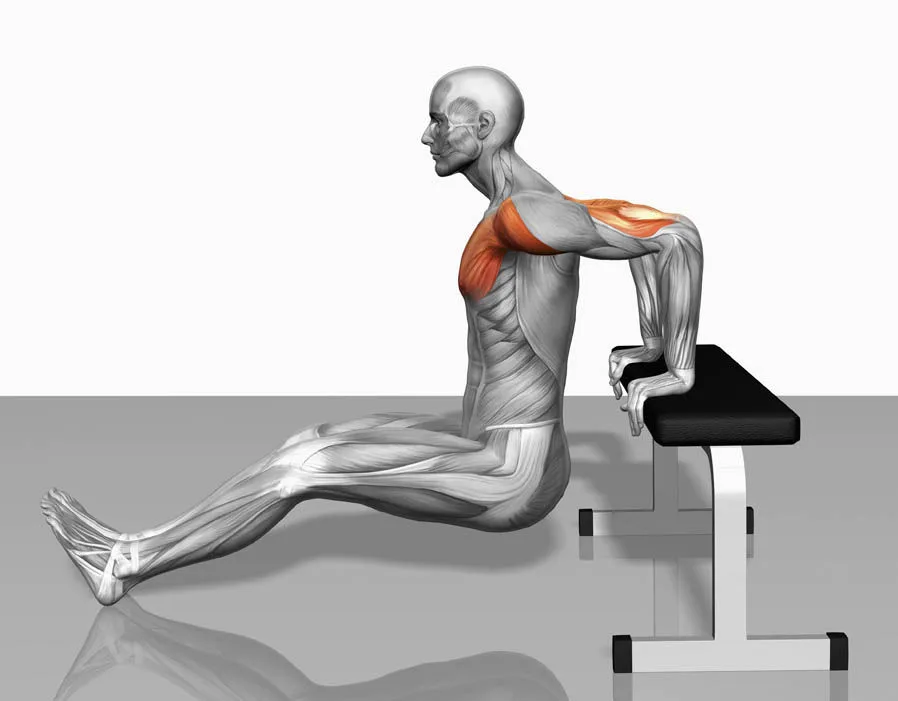 Floor dips