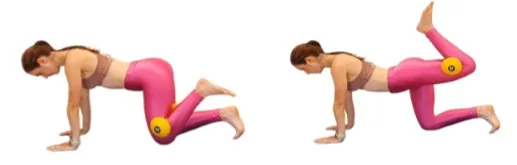 Dumbbell donkey kick