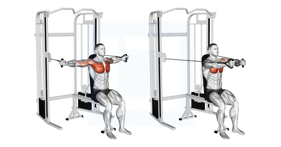 Seated Cable chest fly