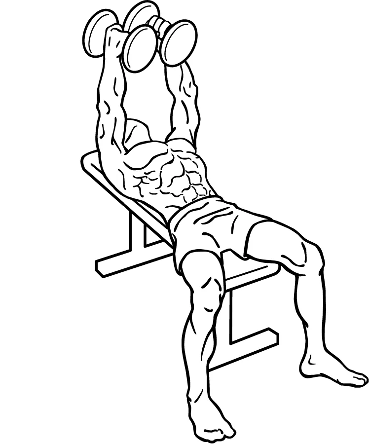 Fly With Dumbbells