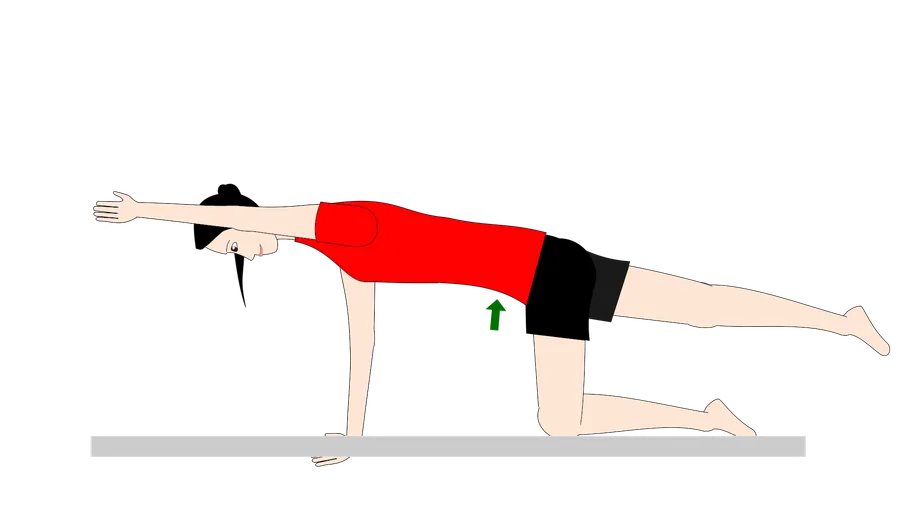 Quadriped Arm and Leg Raise