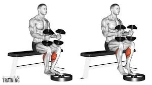Seated Dumbbell Calf Raise