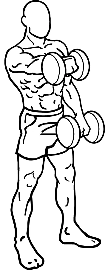 Front Raises