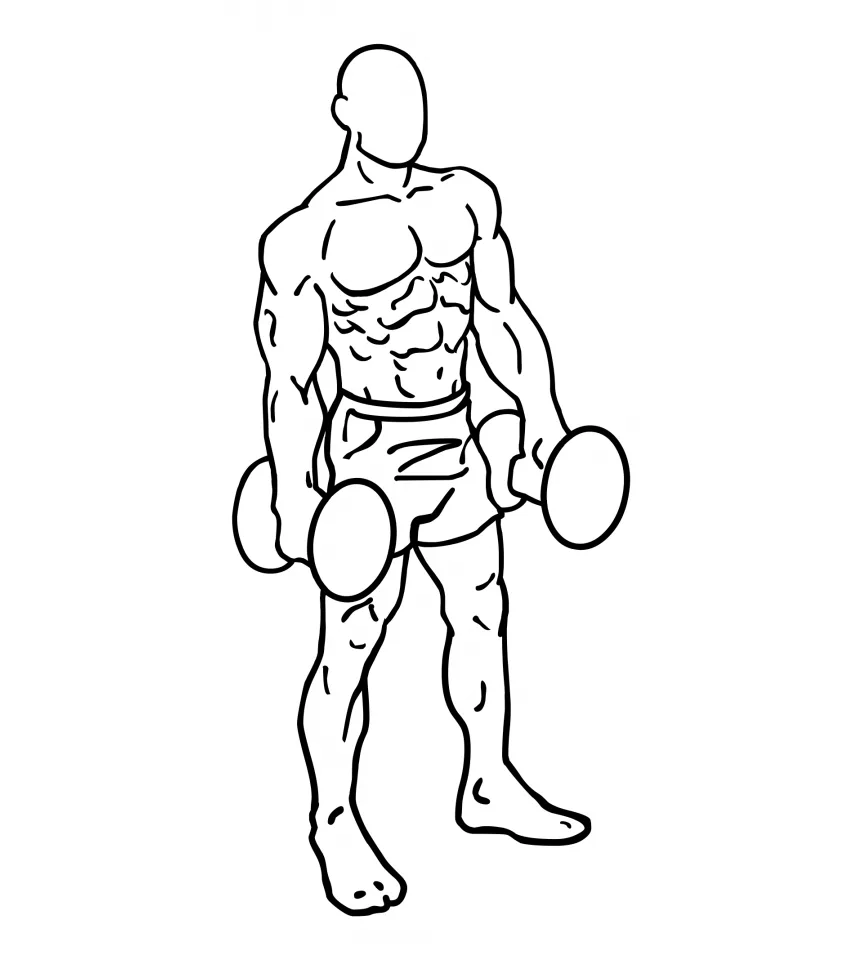 Lateral Raises