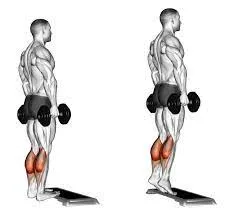 Standing Calf Raises