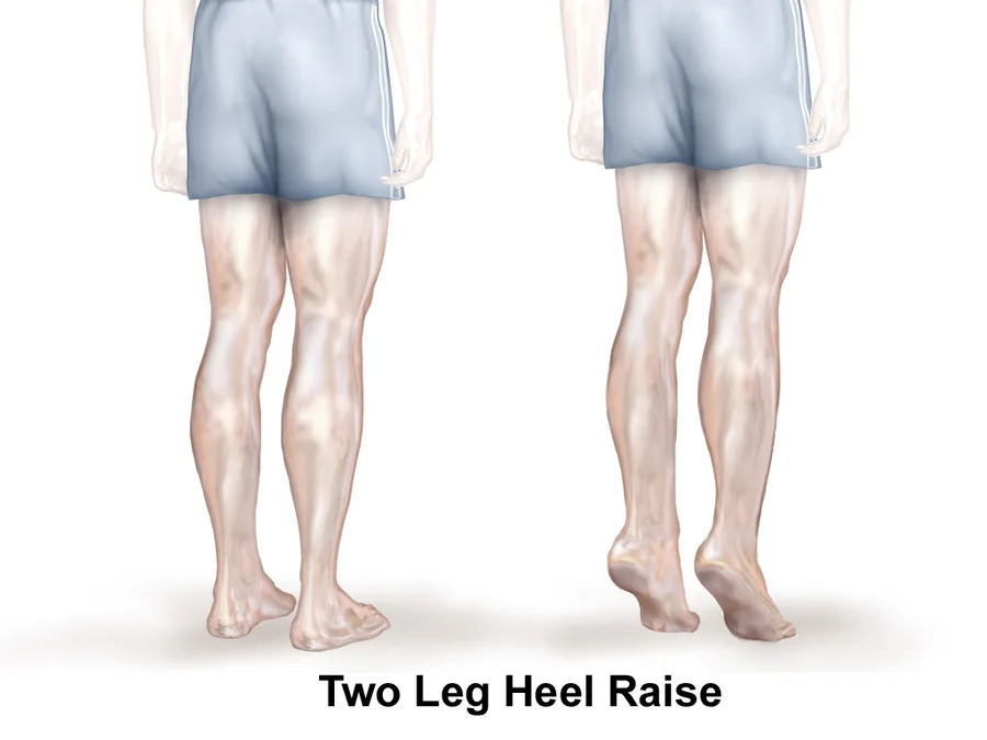 Double Leg Calf Raise