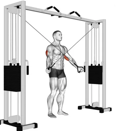 High-Cable Cross Tricep Extention - NB
