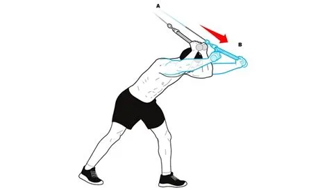 Triceps Extensions on Cable