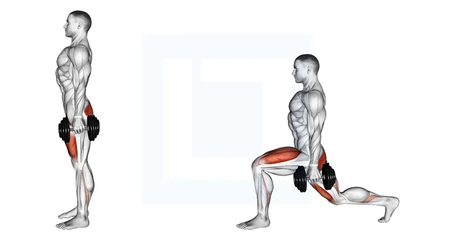 Dumbbell Rear Lunge