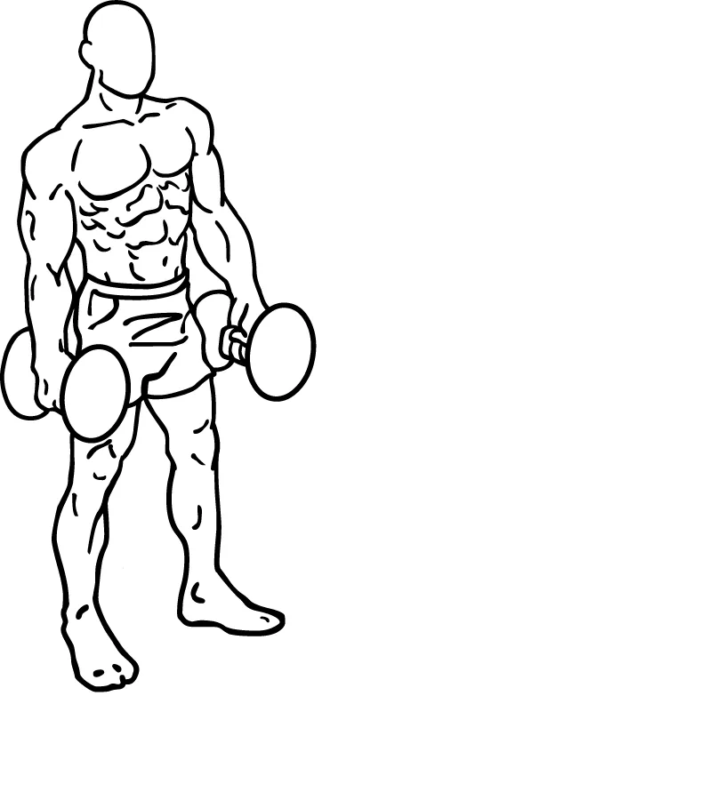 Dumbbell Lunges Walking