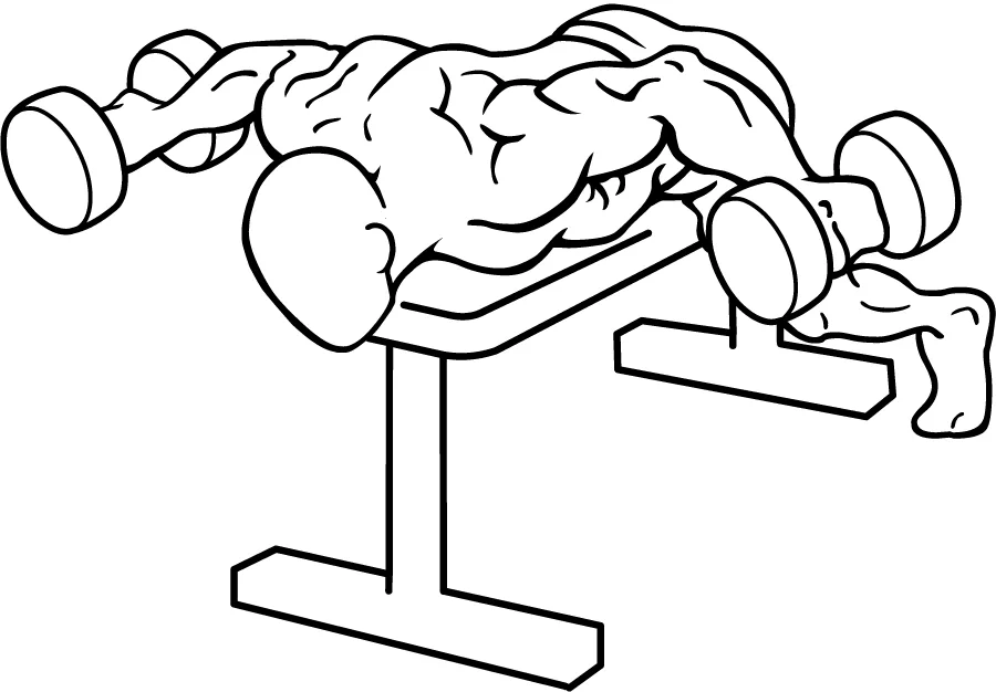 Incline Bench Reverse Fly