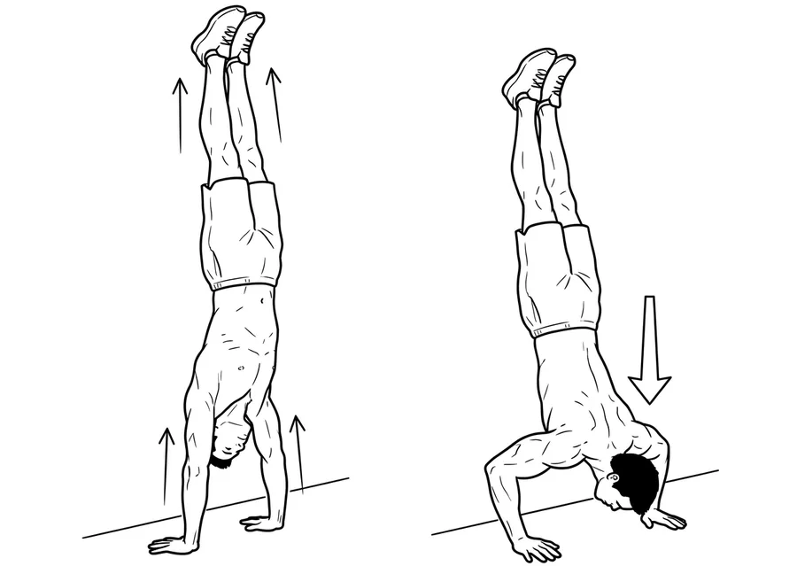 Handstand Pushup