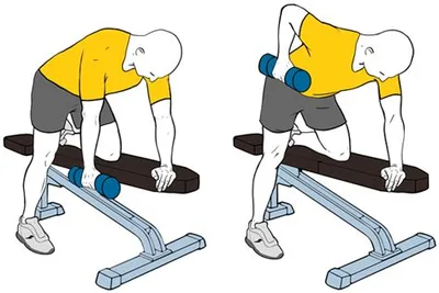 Bent Over Dumbbell Rows