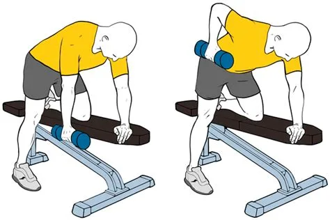 Bent Over Dumbbell Rows