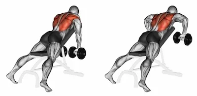 Incline Chest-Supported Dumbbell Row