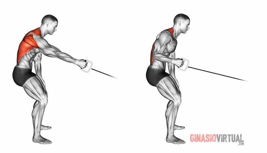 Unilateral Cable row