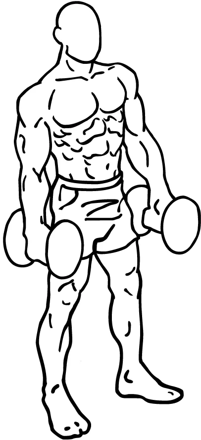 Shrugs, Dumbbells