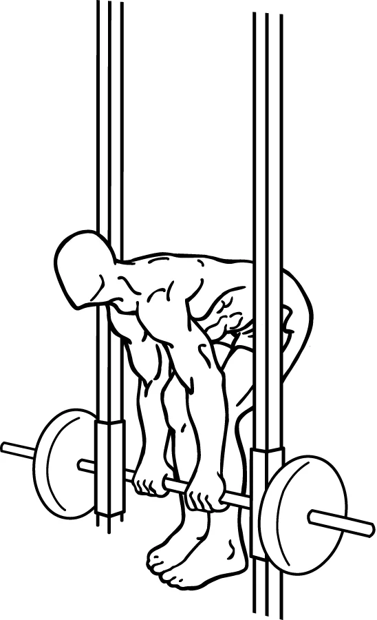 Rack Deadlift