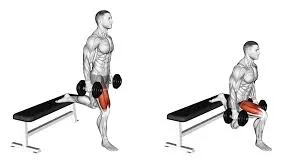 Bulgarian Squat with Dumbbells
