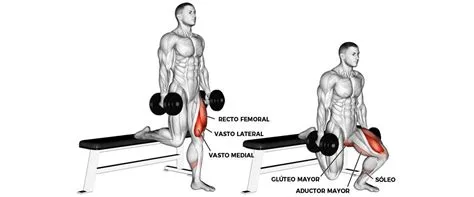 Bulgarian split squats left