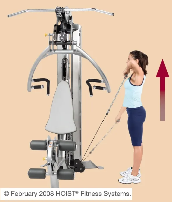 Upright Row, on Multi Press