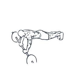 Abdominal wheel