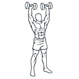 Arnold press