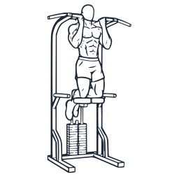 Assisted supinated pull-ups