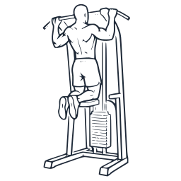 Assisted pull-ups