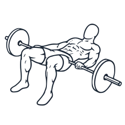Barbell hip thrust