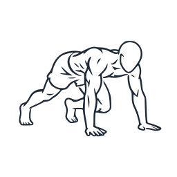 Bear crawl