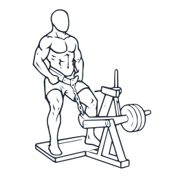Belt squat