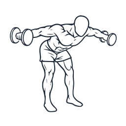 Bent-over lateral raise