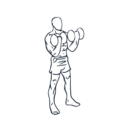 Biceps curl