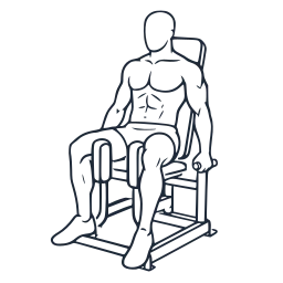 Adduction de hanche à la machine