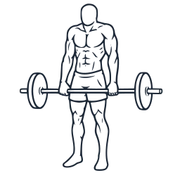 Barbell shrug